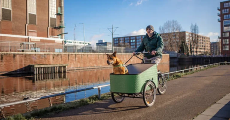Urlaub mit Hund Holland
